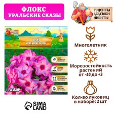 Флокс "Уральские сказы" р-р I, 2 шт,