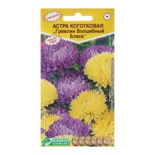 Flowers Astra Clack 
