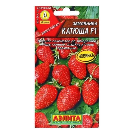 Strawberries "Katyusha" f1, c/n, 10 pcs