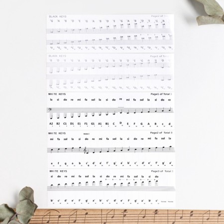 Piano piano stickers 4 x 0.8 cm, colored, 88 keys, transparent-1