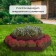 Galled flowerbed, 2 tiers, d = 60-100 cm, h = 30 cm, brown, Greengo