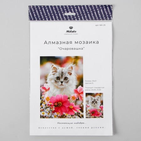 Diamond mosaic "Charm" 29.5 × 20.5 cm, 25 colors + sticker-2