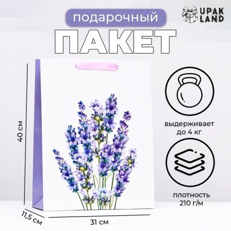 Laminated laminate package, 31 x 40 x 11.5 cm