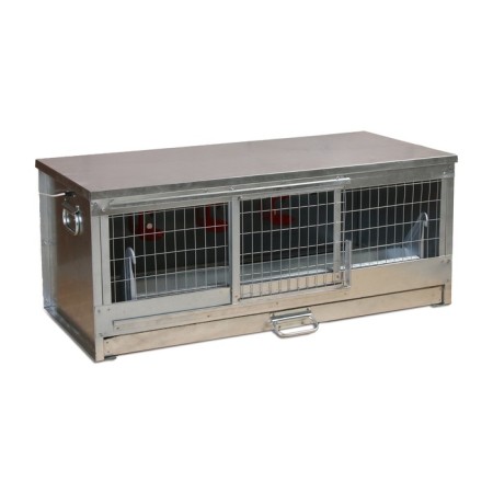 Bruder for chickens, 100 × 40 × 45 cm, with a pallet, a feeder and a drinker, metal