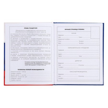 Diary for grades 5-11, 48 sheets of "Russian schoolchild No. 4", hard cover, glossy lamination, block 60 g/m2-4