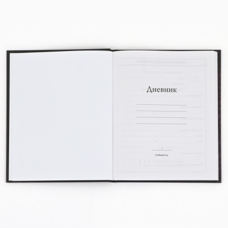 School Diary 1-4 class, in a solid cover, 48 liters "September 1: Cosmonaut Neon"-2