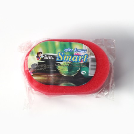 Body sponge "Smart", 12.5 × 8 × 5 cm, mix-6