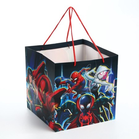 Gift package with a wide bottom, 30x30x30 cm, spider-man-2