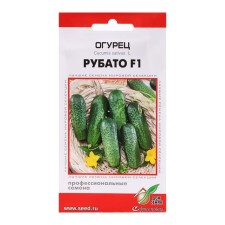 Cucumber seeds 