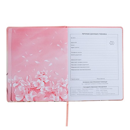 Universal Diary Grade 1-11, 48 sheets "Girl in the cap", solid covering of artificial leather, uplife, lies, universal cheat sheet, block 80 g/m2-4