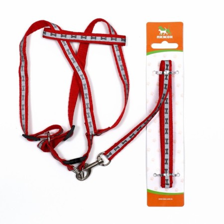 The reflective “bones” set, a collar of 120 x 1 cm, Osh 26-42 cm, fire 26-42 cm, red-7