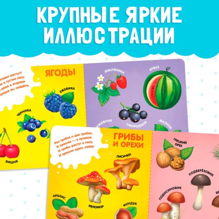 Cardboard book "Fruits, Vegetables and not only", 10 p.-3