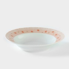 Porcelain plate 