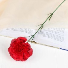 Artificial flowers 