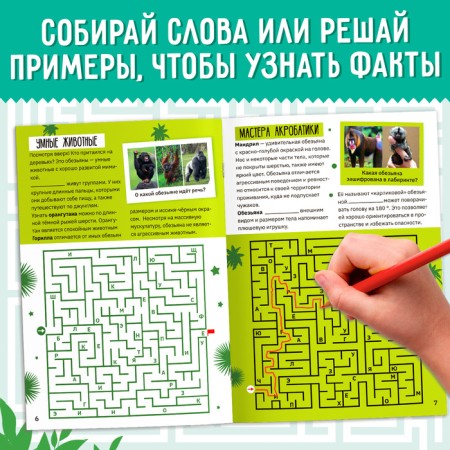 A set of training books "Labyrinths and Facts", 6 pcs.-3
