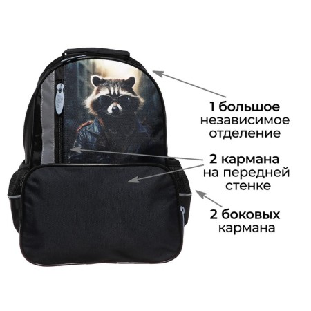 School backpack, 37 x 26 x 13 cm, ergonomic back, calligrata orth "raccoon"-2