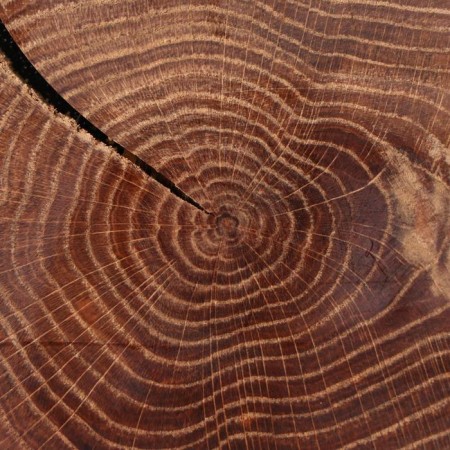 SPIL-DOSKA TORTSEVA "Oak", 25-30 x 3 cm-3
