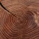SPIL-DOSKA TORTSEVA "Oak", 25-30 x 3 cm