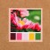 Colored sand set No. 11, 5 colors, 100 g each