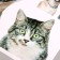 Stick 3D Interior pets 50*40cm