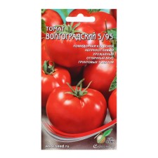 Seeds Tomat 