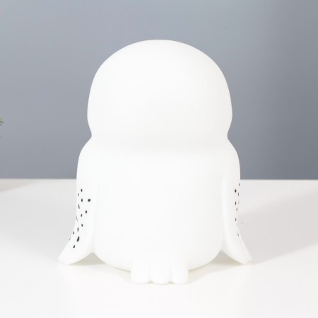 Night Owls LED from white batteries 10.5x15.5x18 cm Risalux-4