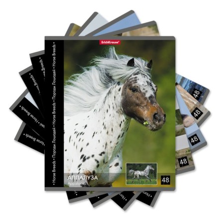 Notebook of 48 sheets in the Erichkrause "horse", cover coated cardboard, offset block 100% whiteness, mix-1