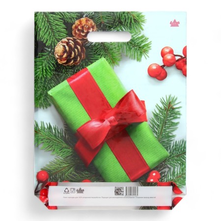 Package "Kalina as a gift", polyethylene with a cut pen, 40x31 cm, 60 μm-1