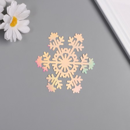 Stick paper, plastic "Snowflakes" silver overflow set 8 pcs 9.5x8.5 cm-1
