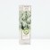 Zhasmin Garden (Mona) "Mon Blanc", Tuba, 1 pc, Spring 2025
