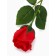 Soap rose red in a box