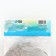 Georgin anemone "Take OFF", rr I, 1 pc, spring 2024