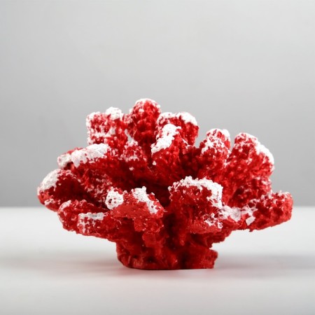 Interior souvenir "Coral" 13x11x8cm mix