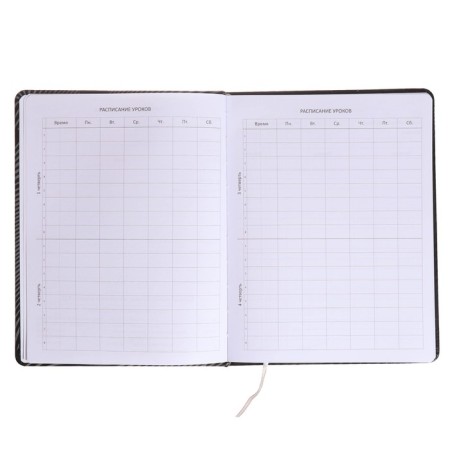 Universal diary for grade 1-11 Strike, hard cover, artificial leather, silkography, lies, 80 g/m2-4