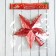 Tip "Star volume of radiance" 20.5x19 cm, red