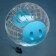 Ball for rodents Carno, 33 cm, blue