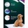 Diapers absorbing "peg" for animals gel, 60 x 40 cm, set 60 pcs