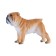 Figure Konik "English bulldog"