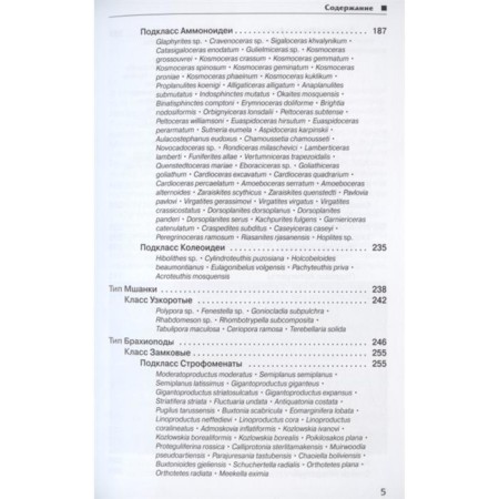Ископаемые Московского региона. Шмаков А.-3
