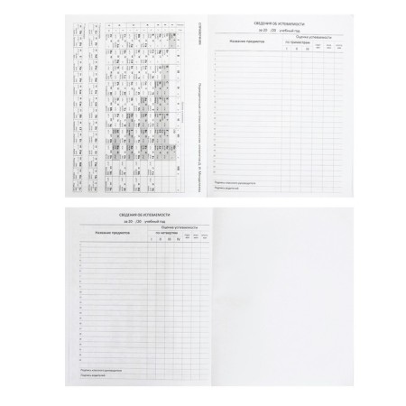 Universal diary for grade 1-11 "Map of Russia", solid cover, artificial leather, silkography, lies, tinted block, 48 sheets-8