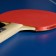 Boshika Beginner 1*table tennis racket, for lovers, 1.5 mm lining, straight handle