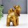 Souvenir Polystone "Elephant in the Golden Popone with Patterns" Lacu 10x5x12 cm