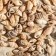 Set of shells 100 g