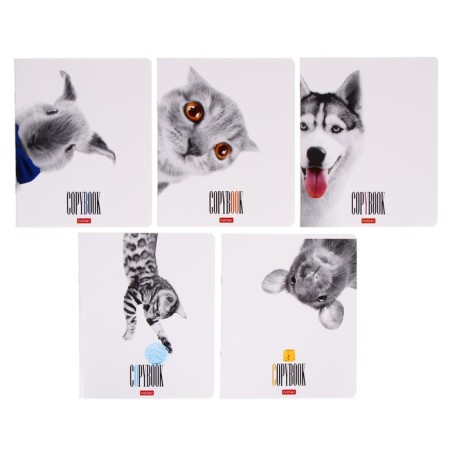 Notebook of 48 sheets in the cage "Who is here?", Cover coated cardboard, selective varnish, offset block, mix
