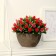 Bonsai in the pot "multilayer buds" 13x11 cm, mix