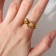 Ring "Copper" nodes, color black gold, dimensionless