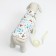 Dog jacket "Laska" with a leash, size XL