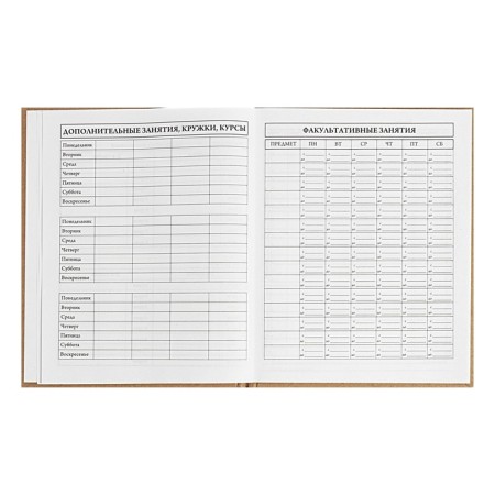 Universal Diary 5-11 classes, 48 ​​sheets "Bear", craft, solid cover, block 65 g/m2-6