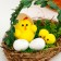 Easter decor "Chickens" 11 × 11 × 12 cm