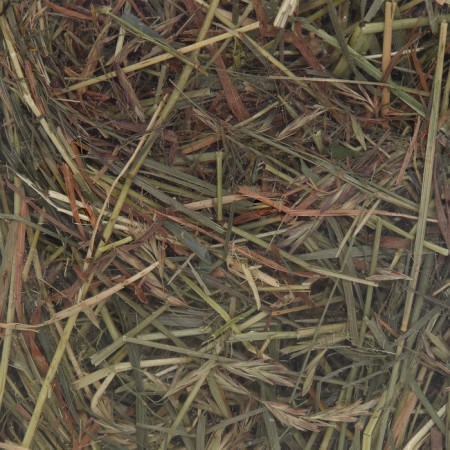 Lugovoi hay with fruits "Pigzon" for rodents, 20 l, 500 g-4
